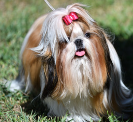 Similar image 21338083