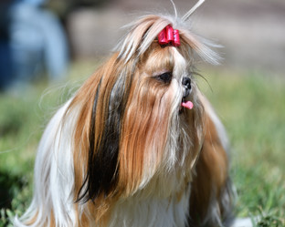 Similar image 21338084