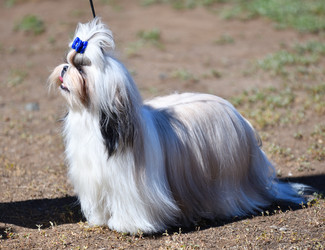 Similar image 21338086