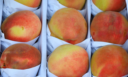 Similar image 21338088