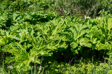 Similar image 21324379