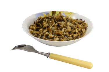 Similar image 21324396