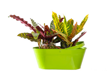 Similar image 21324821