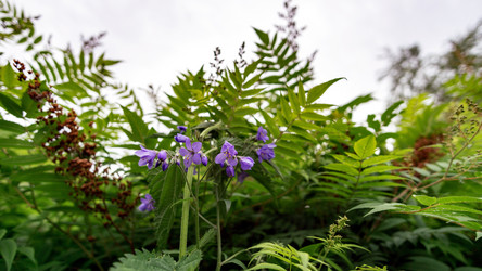 Similar image 21326238