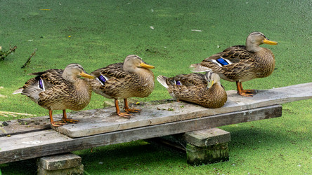 Similar image 21326239