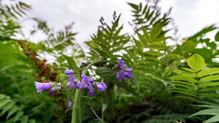 Similar image 21326242