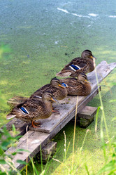 Similar image 21326243