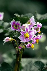 Similar image 21326252