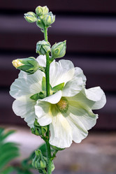 Similar image 21326264