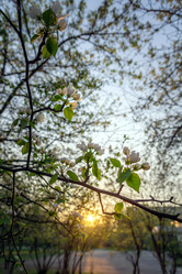 Similar image 21326265