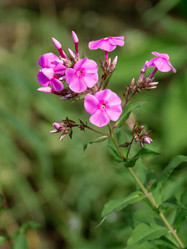 Similar image 21326266