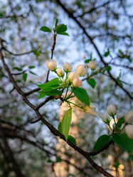 Similar image 21326267