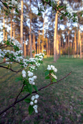 Similar image 21326269