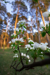 Similar image 21326271