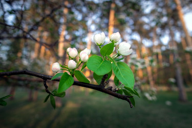 Similar image 21326273