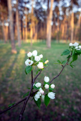 Similar image 21326275