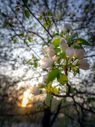 Similar image 21326277