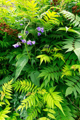 Similar image 21326278