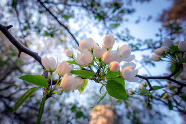 Similar image 21326281