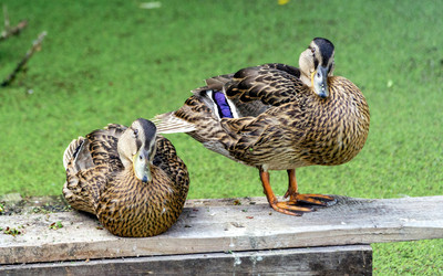 Similar image 21326283