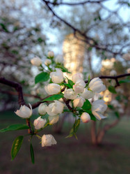 Similar image 21326284