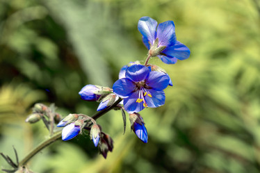 Similar image 21326295