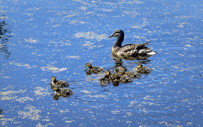 Similar image 21326299