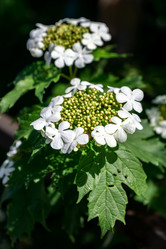 Similar image 21326303