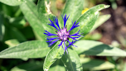 Similar image 21326305