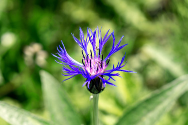 Similar image 21326306