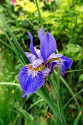 Similar image 21326308