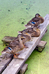 Similar image 21326309