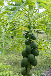 Similar image 21326489