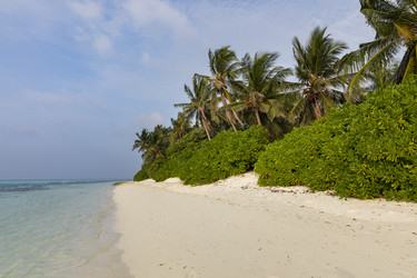 Similar image 21326490