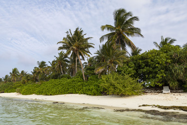 Similar image 21325707