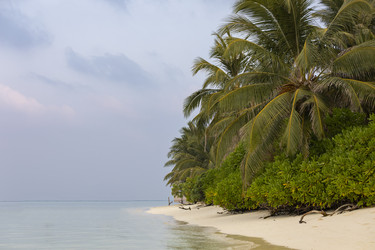 Similar image 21325709