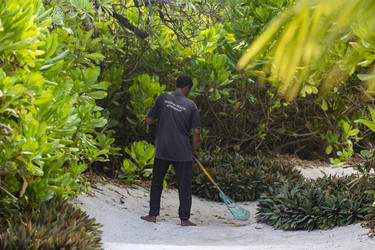 Similar image 21325711