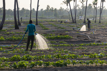 Similar image 21325713