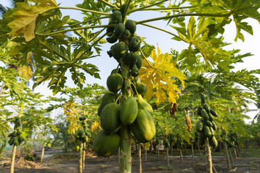 Similar image 21325714