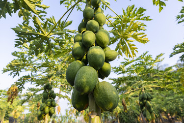 Similar image 21326492