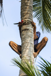 Similar image 21326494