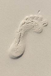 Similar image 21326496