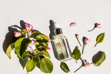 Similar image 21324456