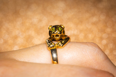 Similar image 21324951