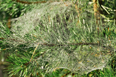 Similar image 21324952