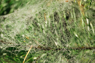 Similar image 21324953