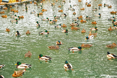 Similar image 21324737