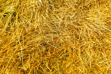 Similar image 21324738