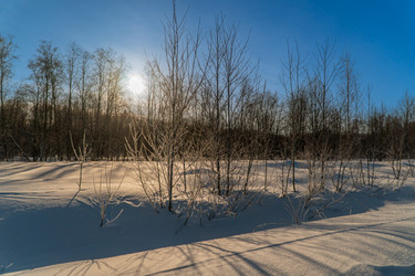 Similar image 21324785