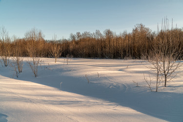 Similar image 21324786